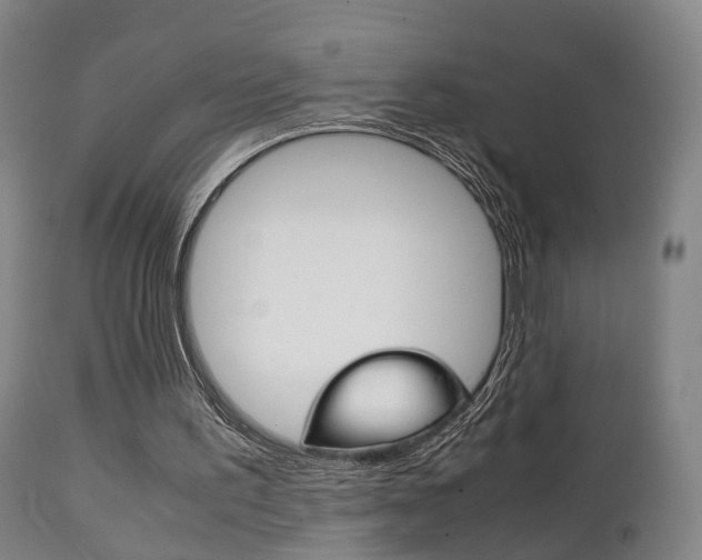 X0000111230195200907021032