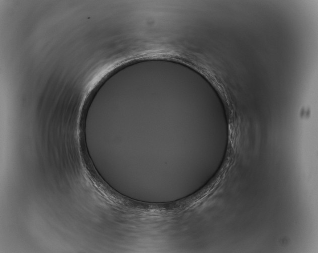 X0000111230196200907021032