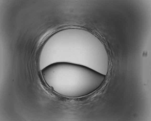 X0000111230197200907021032