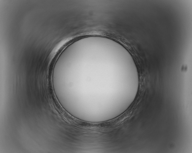 X0000111230200200907021032