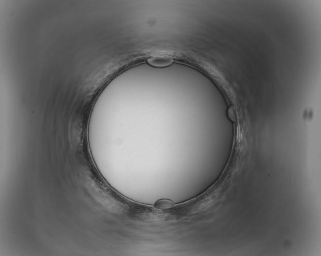 X0000111230201200907021032