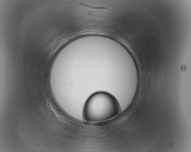 X0000111230205200907021032