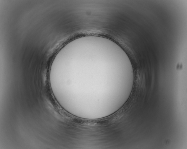 X0000111230206200907021032
