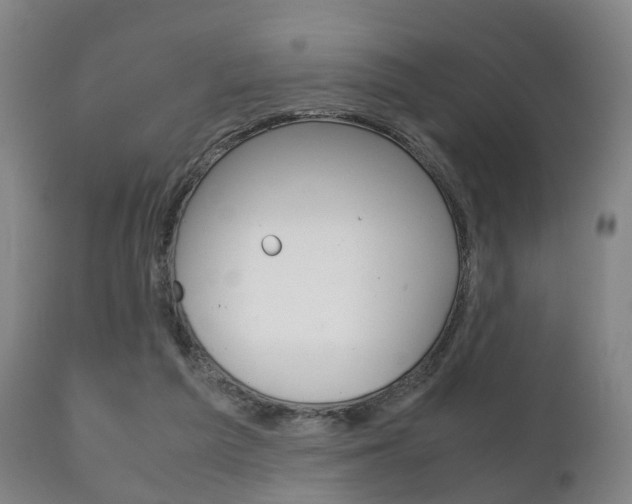 X0000111230209200907021032