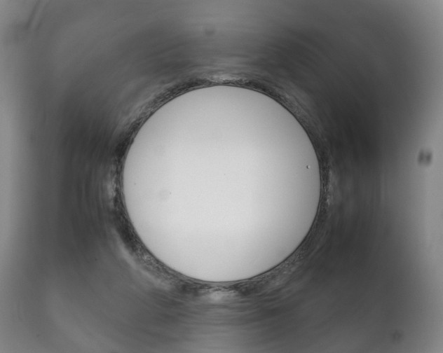 X0000111230210200907021032