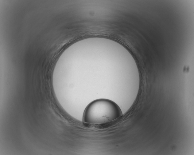 X0000111230211200907021032