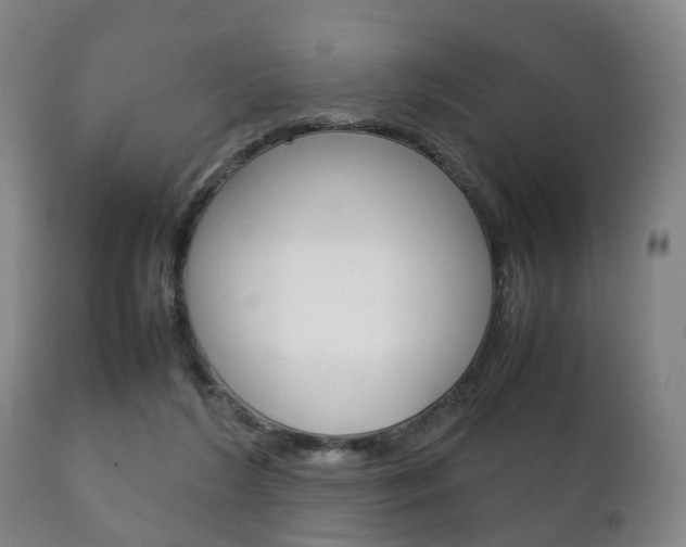 X0000111230212200907021032