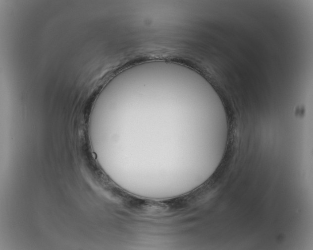 X0000111230215200907021032