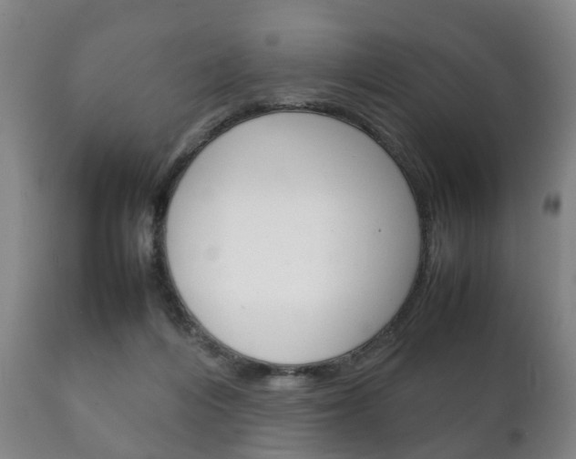 X0000111230216200907021032