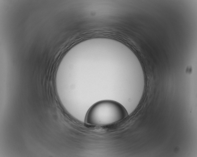 X0000111230217200907021032