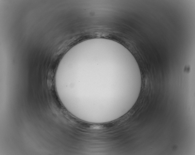 X0000111230218200907021032