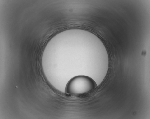 X0000111230219200907021032