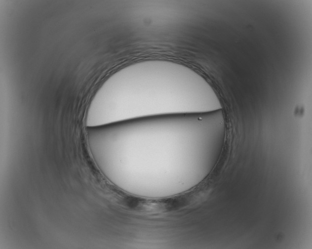 X0000111230221200907021032