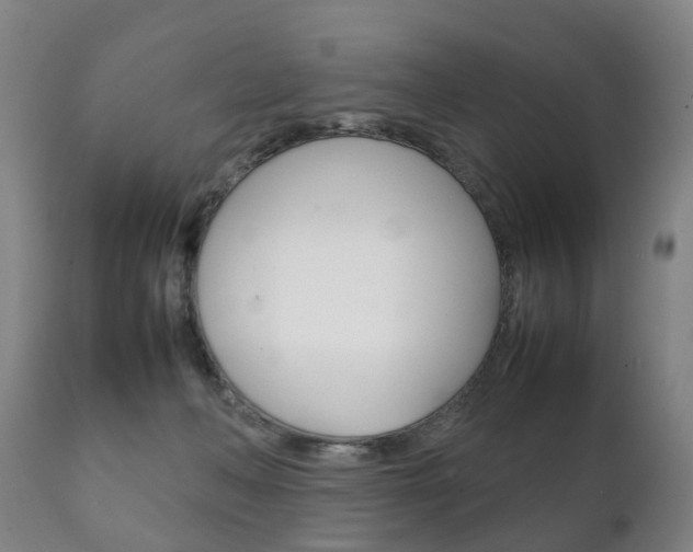 X0000111230222200907021032