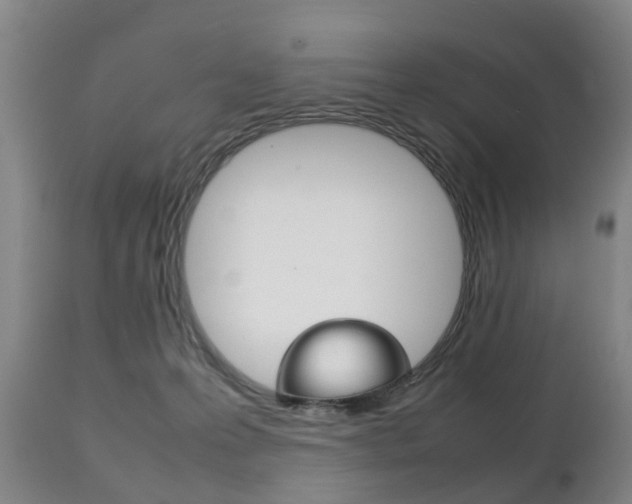 X0000111230223200907021032