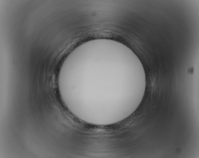X0000111230224200907021032