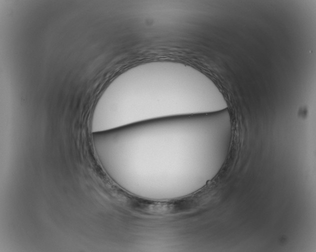 X0000111230225200907021032