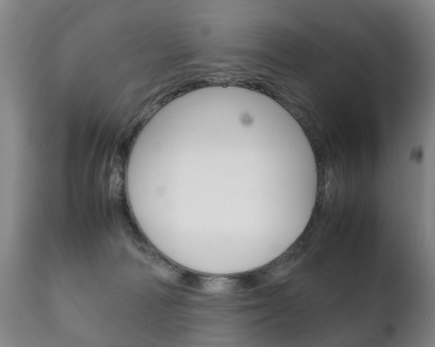 X0000111230226200907021032