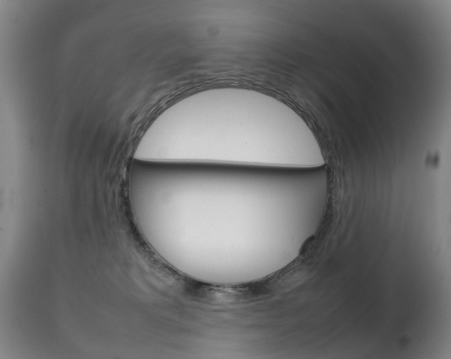 X0000111230229200907021031