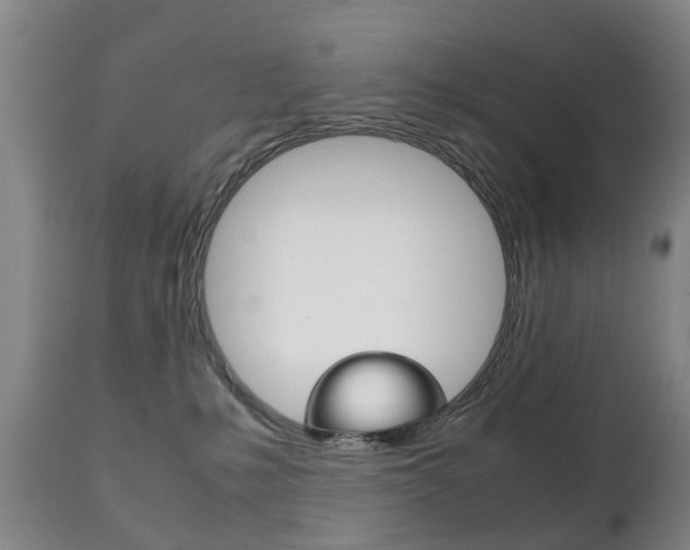 X0000111230231200907021031