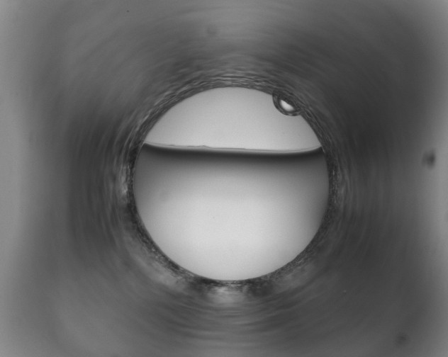 X0000111230232200907021031