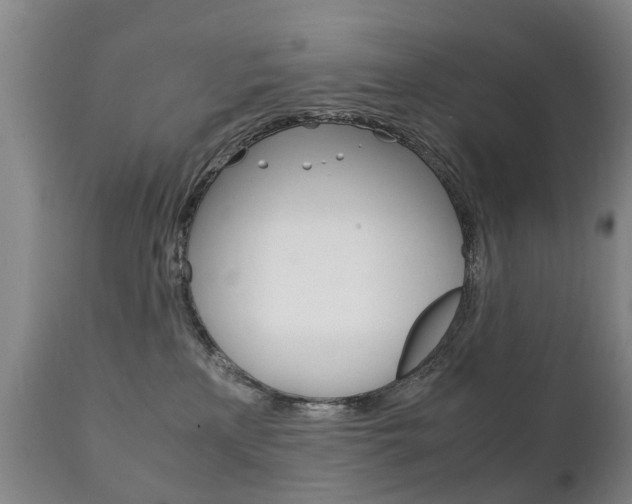 X0000111230233200907021031