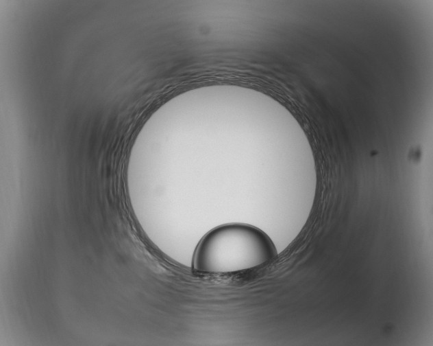 X0000111230235200907021031