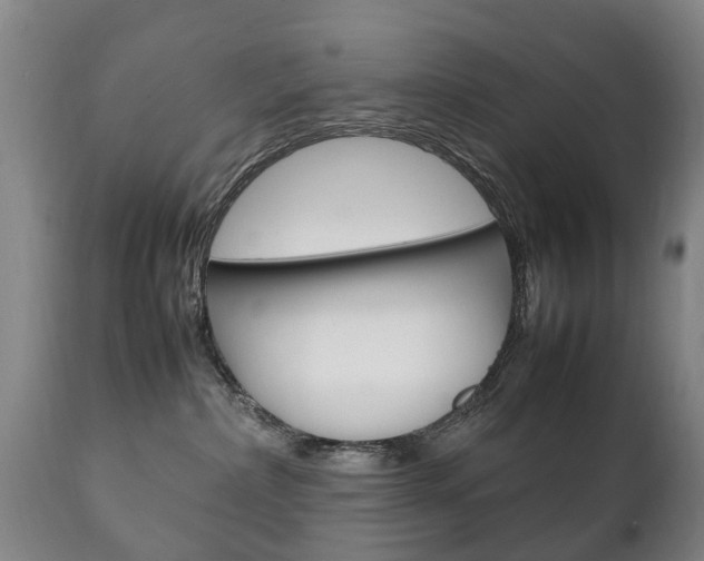 X0000111230236200907021031