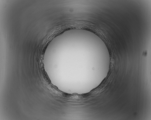 X0000111230237200907021031
