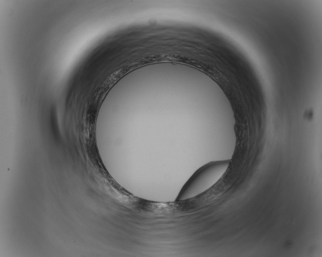 X0000111230239200907021031