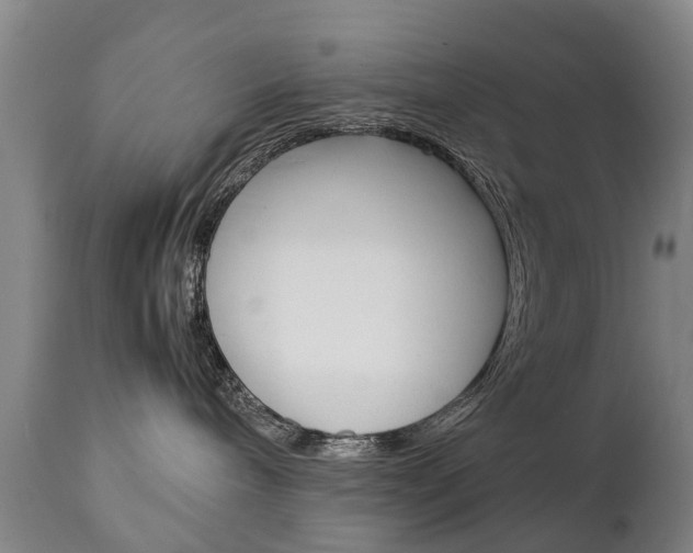X0000111230240200907021031
