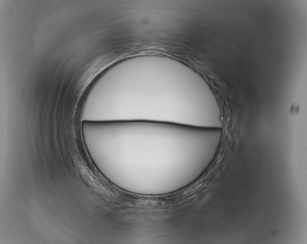 X0000111230242200907021030