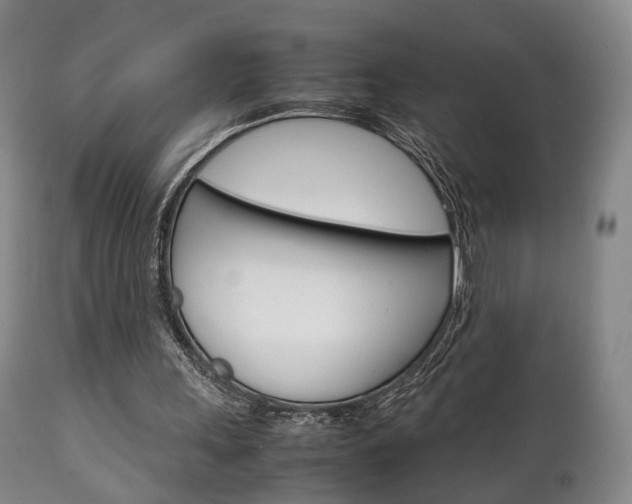 X0000111230243200907021030
