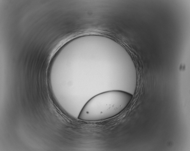X0000111230244200907021030