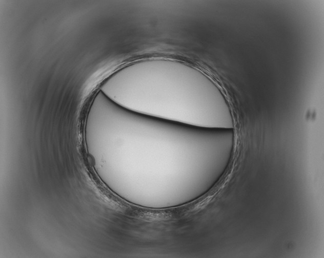 X0000111230245200907021031