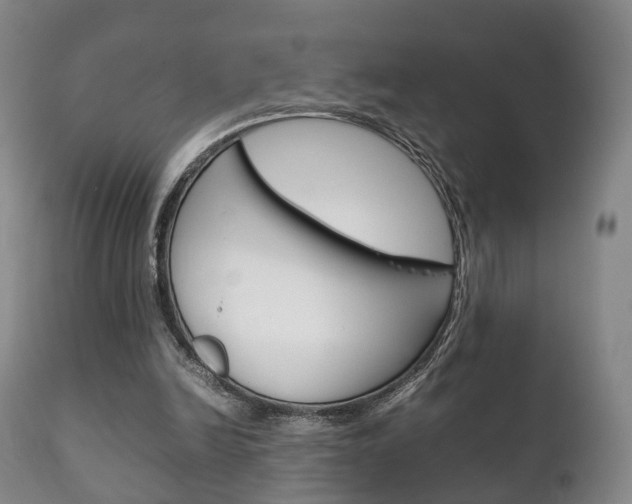 X0000111230246200907021031
