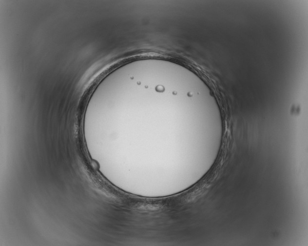 X0000111230247200907021031