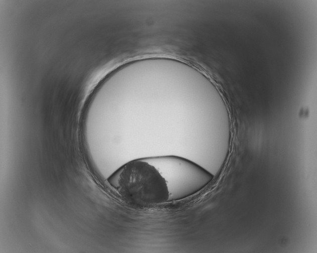 X0000111230248200907021031