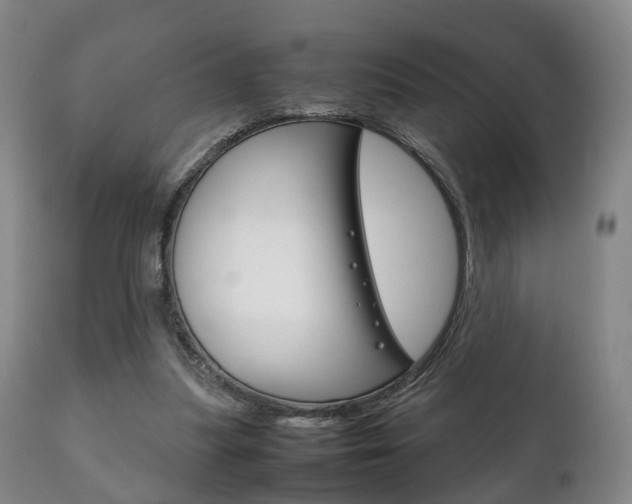 X0000111230251200907021031