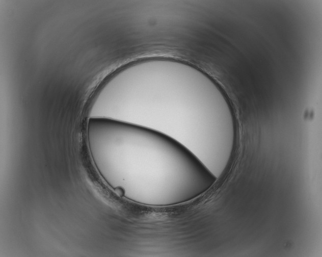 X0000111230252200907021031