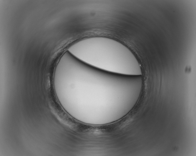 X0000111230254200907021031