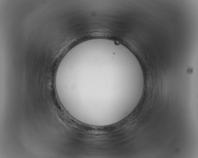 X0000111230255200907021031