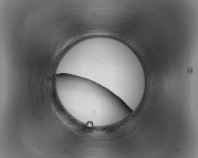 X0000111230256200907021031