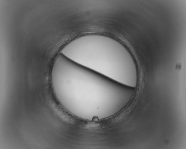 X0000111230257200907021031