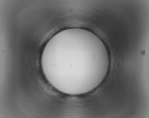 X0000111230258200907021031