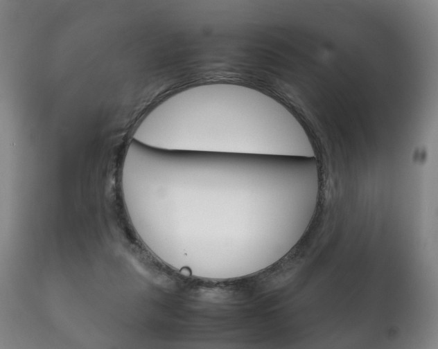 X0000111230259200907021031