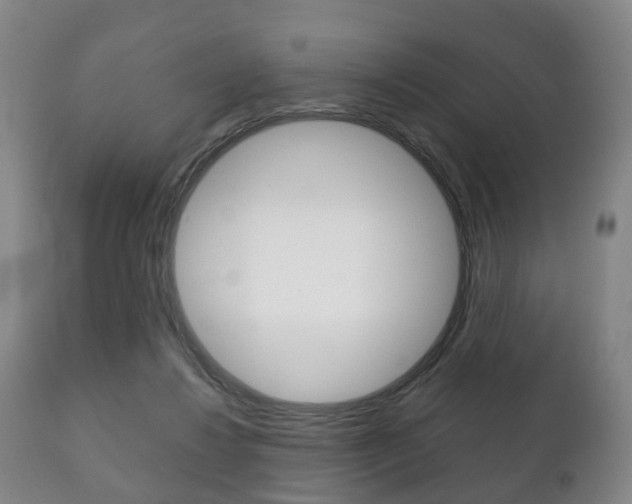 X0000111230260200907021031
