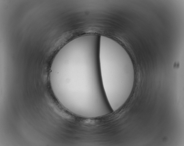 X0000111230261200907021031