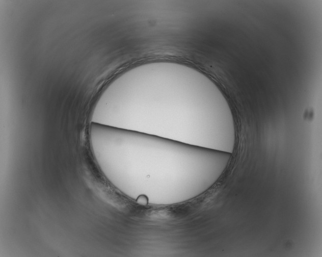 X0000111230262200907021031