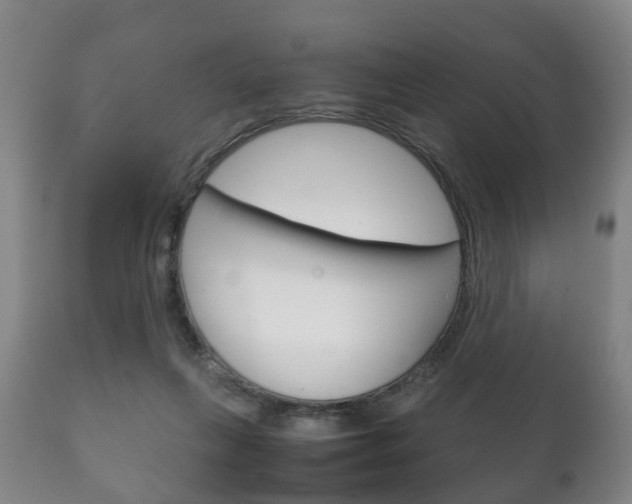 X0000111230263200907021031